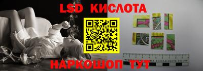 гашик Донецк