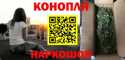 стаф Донской